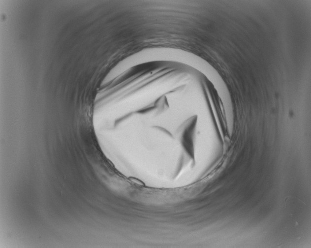 X0000080100045200701051315