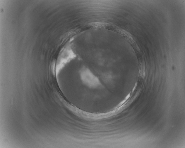 X0000080100047200701051315