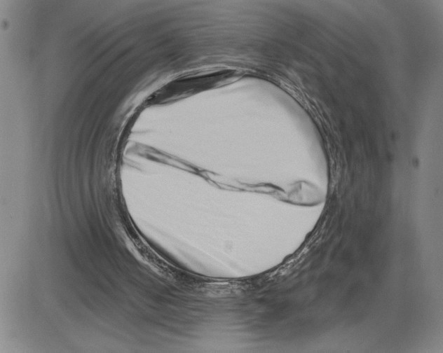 X0000080100050200701051315