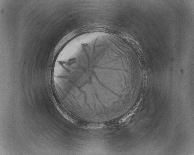 X0000080100051200701051315