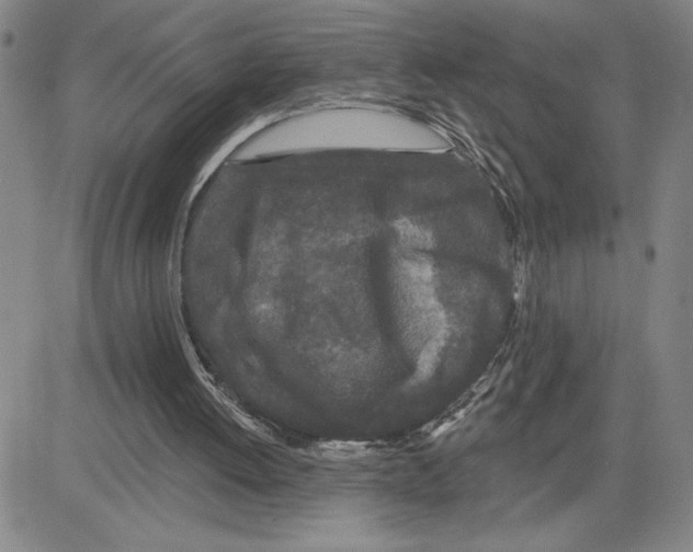 X0000080100052200701051315