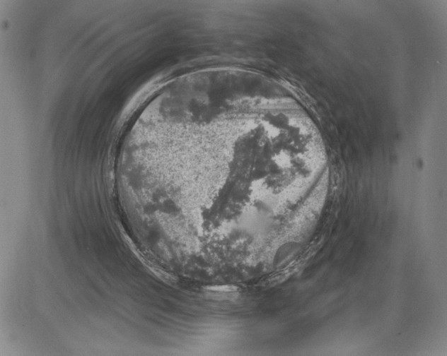 X0000080100053200701051315