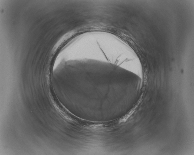 X0000080100054200701051315