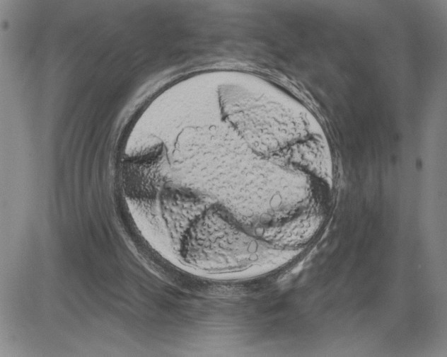 X0000080100055200701051315