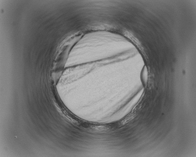 X0000080100058200701051315