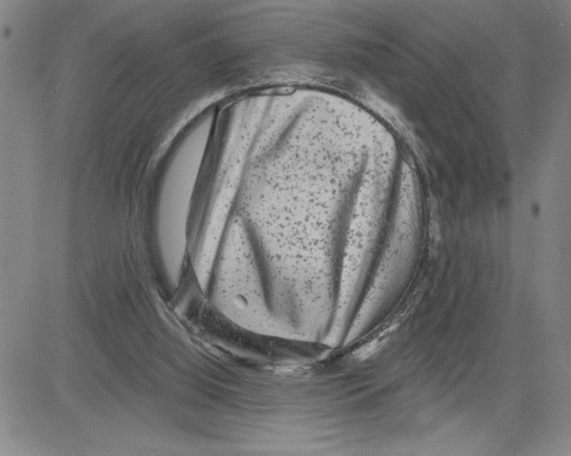 X0000080100060200701051315