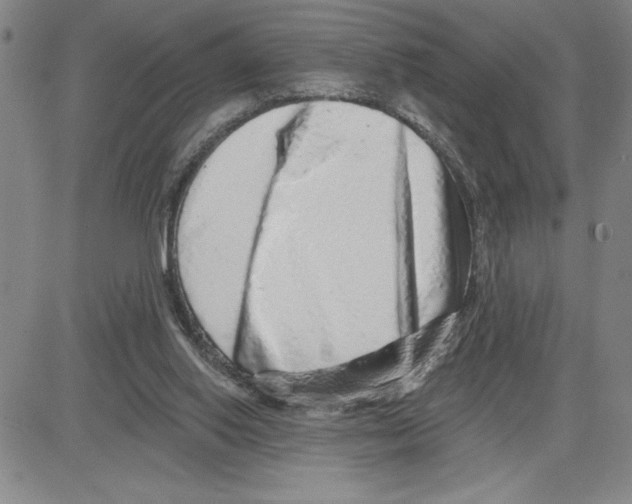 X0000080100062200701051315