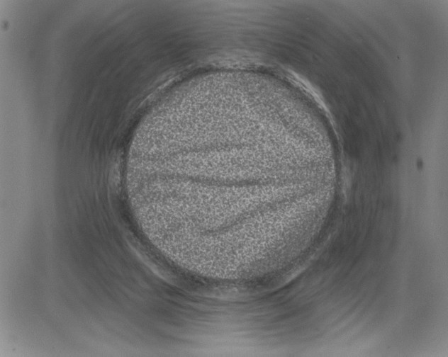 X0000080100065200701051315