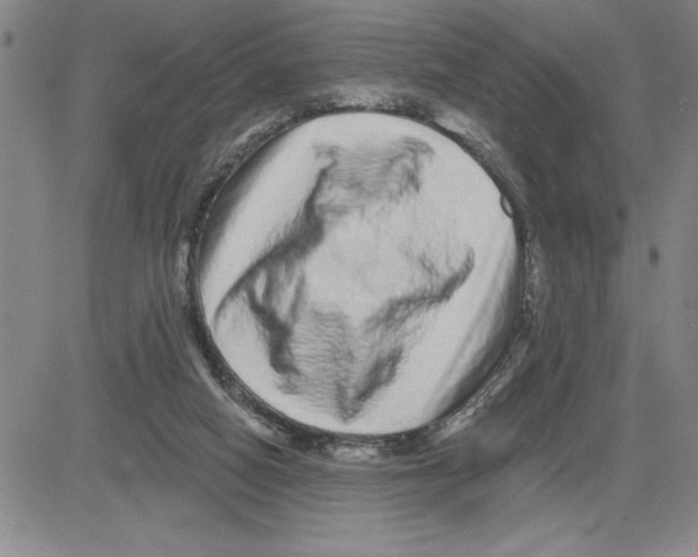 X0000080100066200701051315