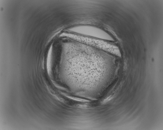 X0000080100068200701051315