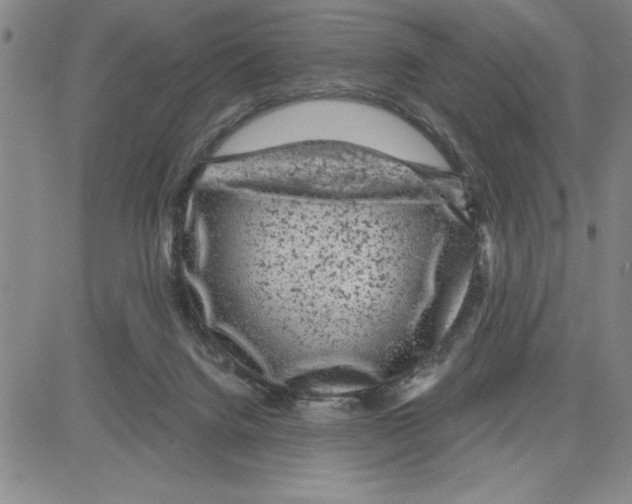 X0000080100072200701051315