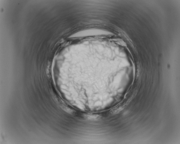 X0000080100073200701051315