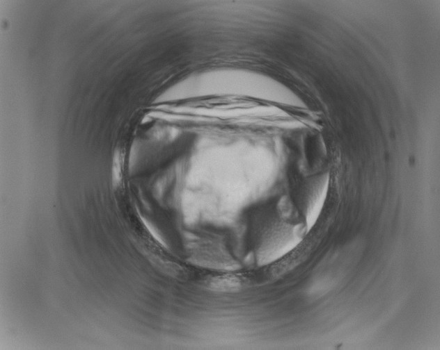 X0000080100075200701051315