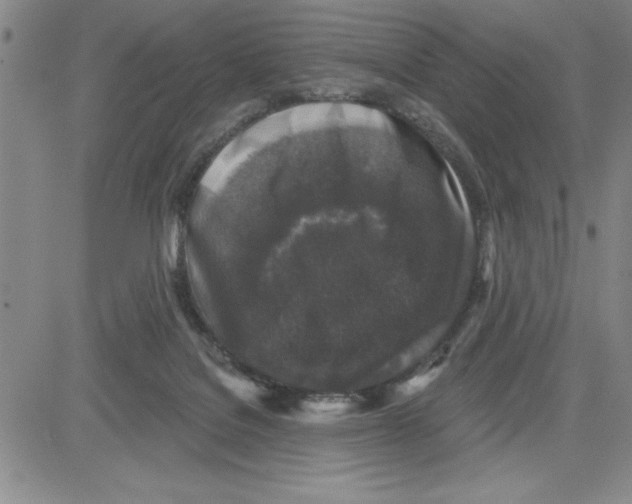 X0000080100076200701051315