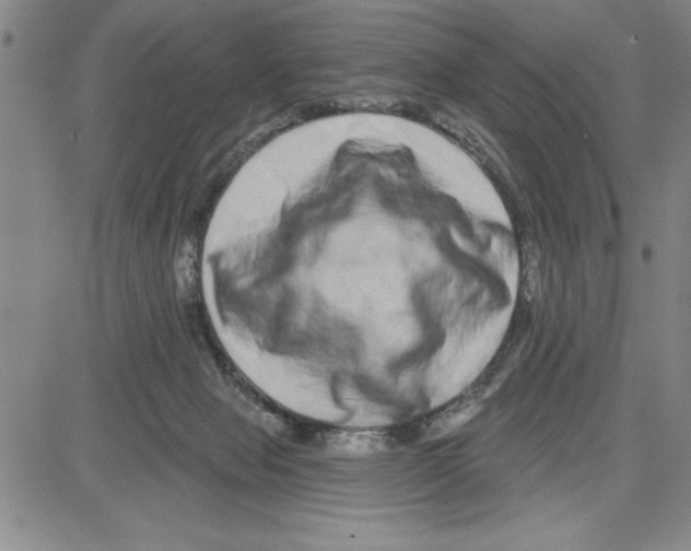 X0000080100077200701051315
