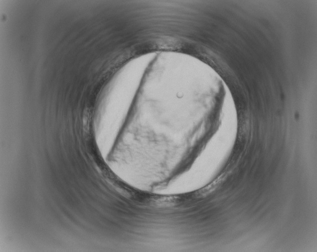 X0000080100078200701051315