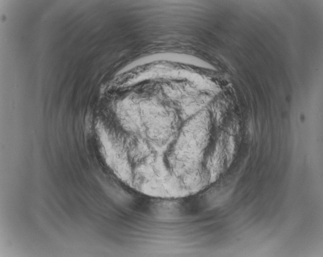X0000080100081200701051315