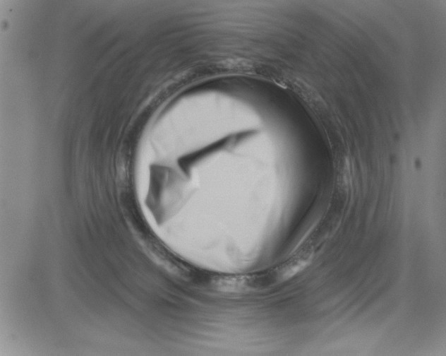 X0000080100084200701051315