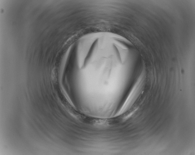 X0000080100088200701051315