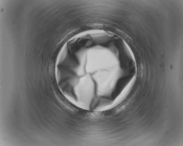 X0000080100092200701051315