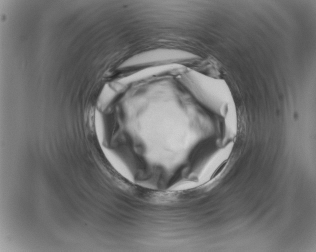 X0000080100094200701051315