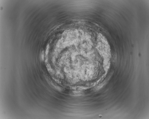 X0000080100095200701051315
