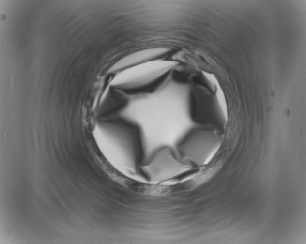 X0000080100096200701051315