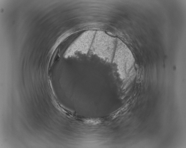 X0000080100099200701051315