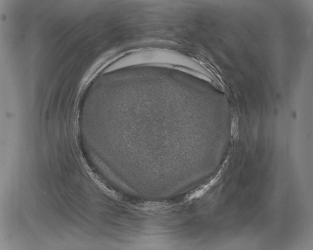 X0000080100101200701051314