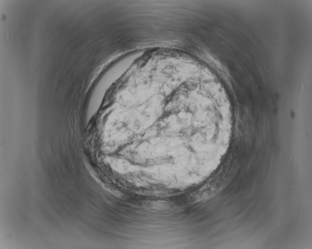 X0000080100107200701051314