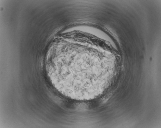 X0000080100115200701051314