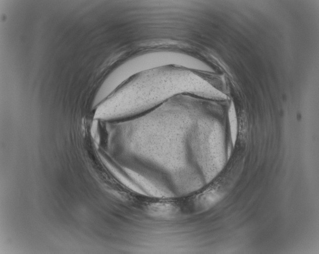 X0000080100119200701051314