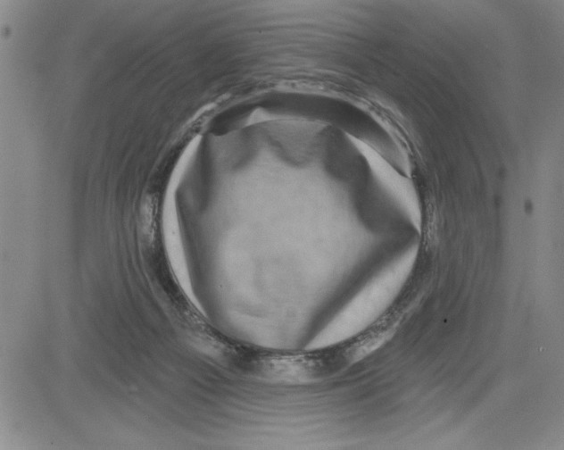 X0000080100121200701051314