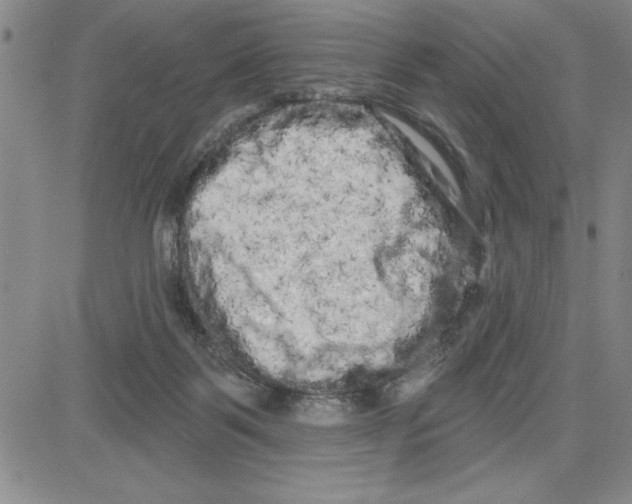 X0000080100123200701051314
