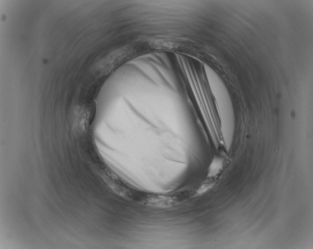 X0000080100125200701051314