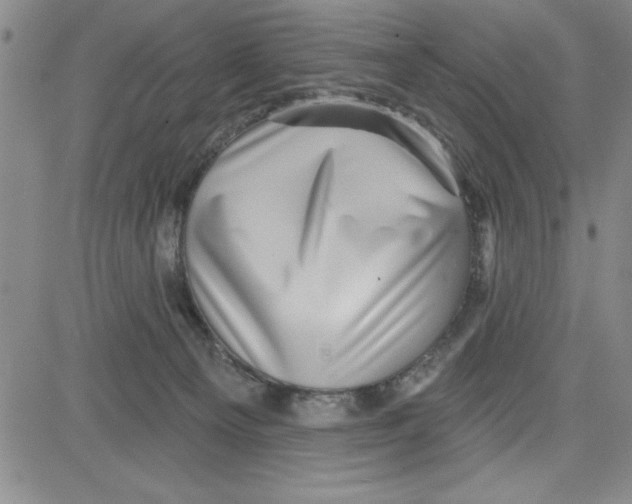 X0000080100129200701051314