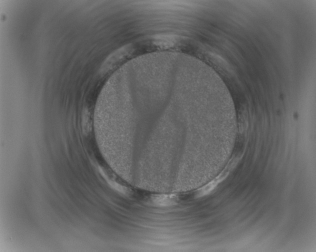 X0000080100136200701051314