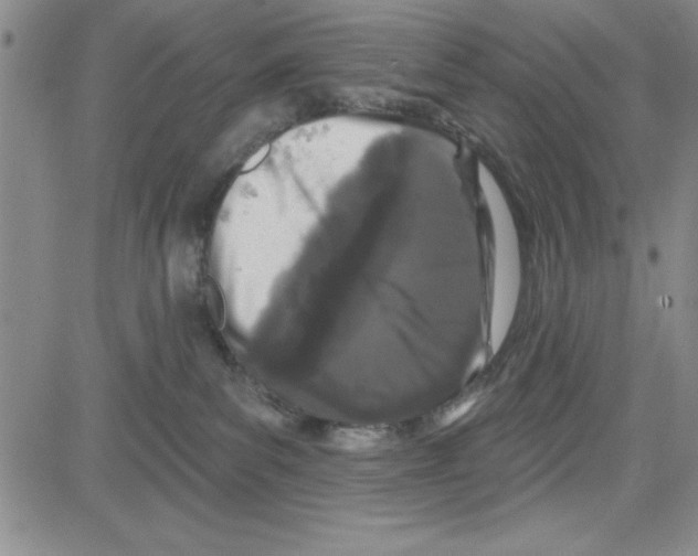 X0000080100139200701051314