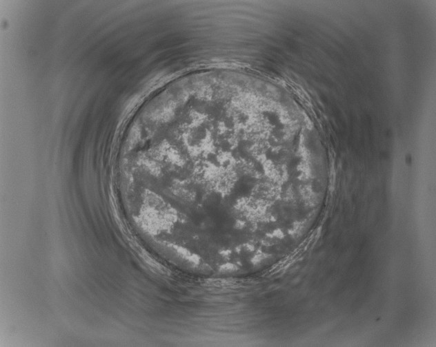 X0000080100145200701051313
