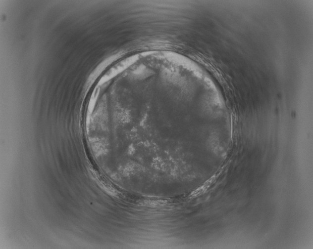 X0000080100147200701051313
