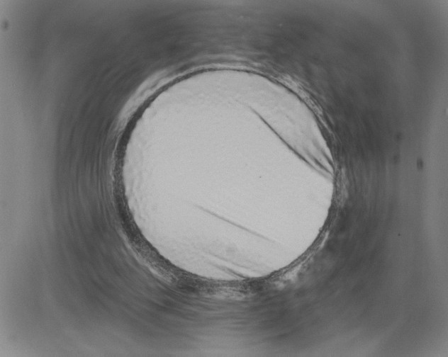 X0000080100151200701051313