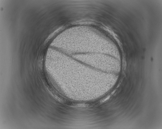 X0000080100153200701051313