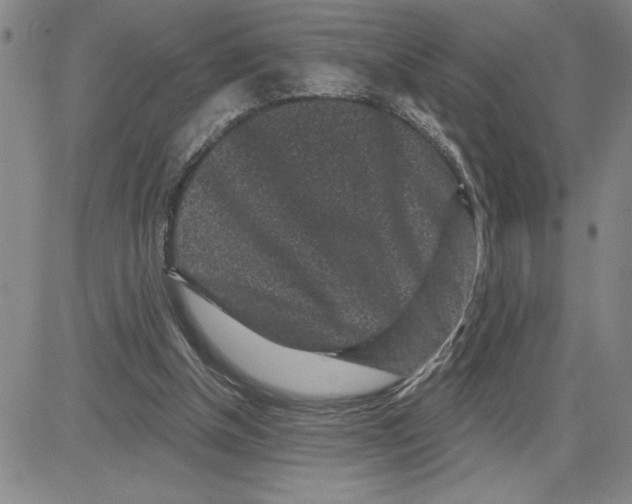X0000080100154200701051313