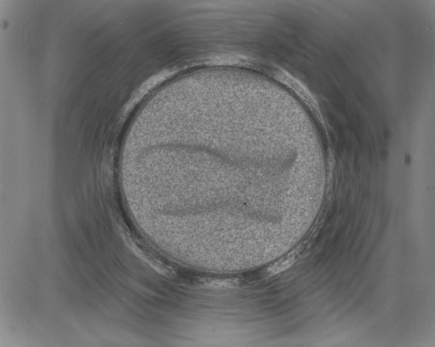 X0000080100155200701051313