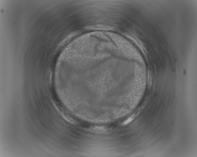 X0000080100157200701051313