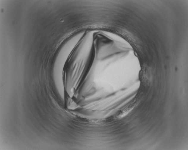 X0000080100164200701051313