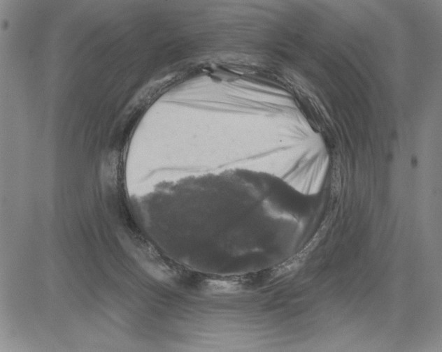 X0000080100167200701051313