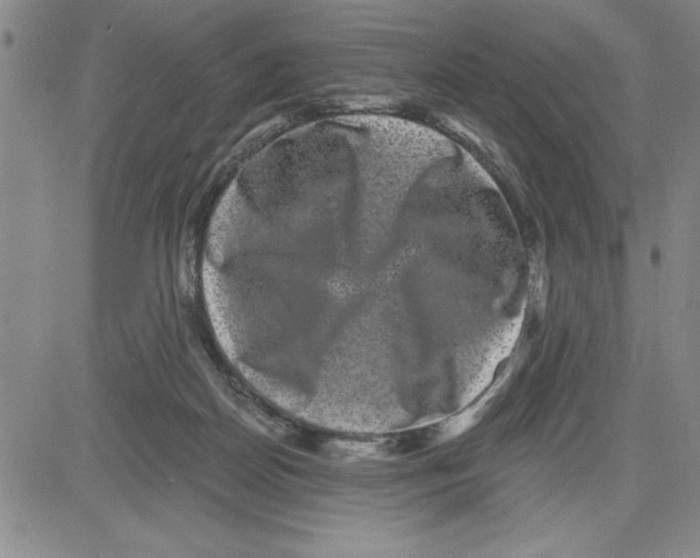 X0000080100170200701051313