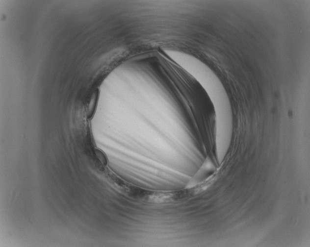X0000080100172200701051313