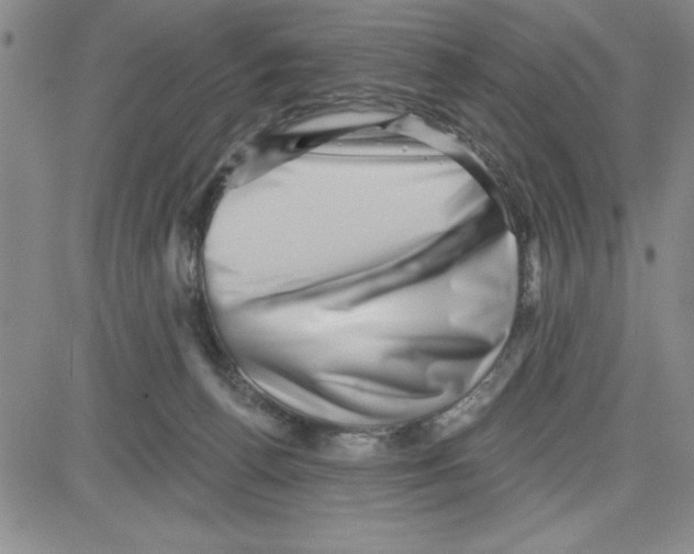 X0000080100176200701051314
